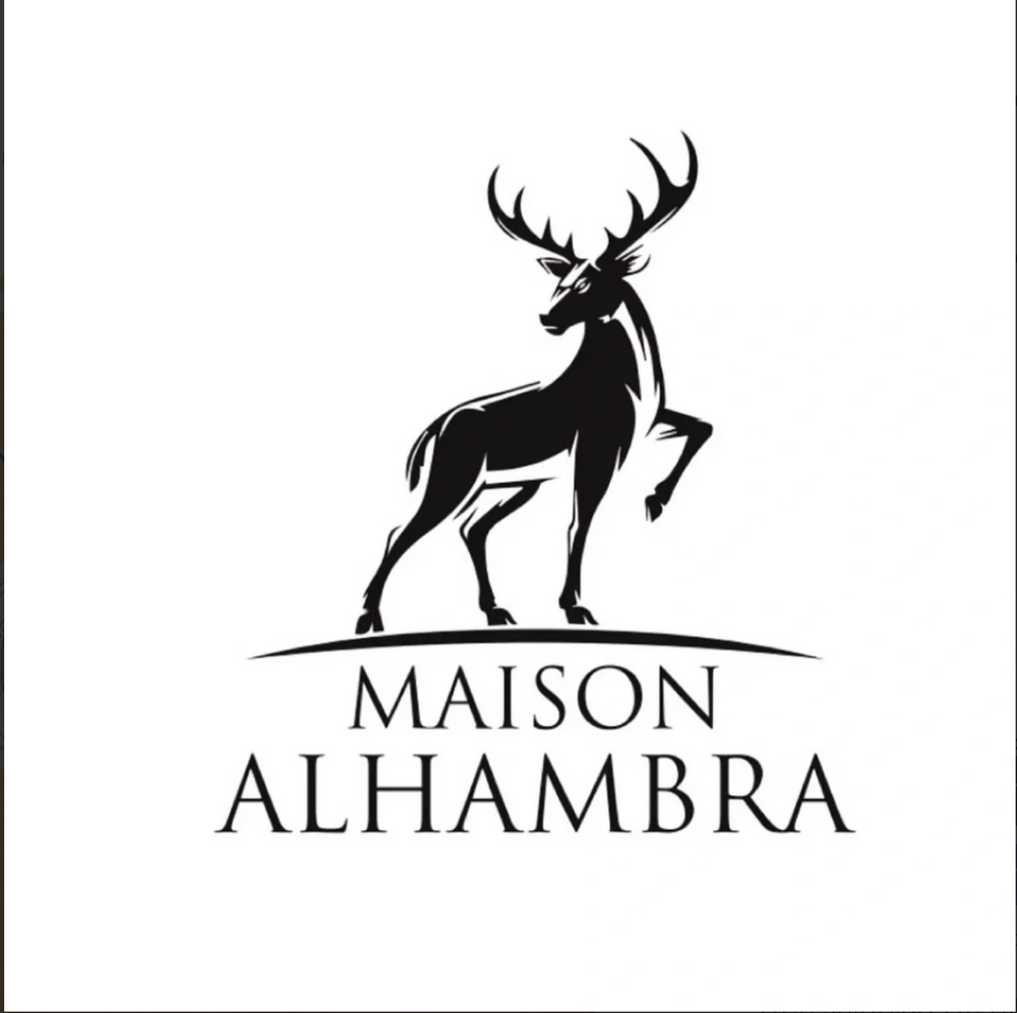 Luminous Vivid Eau de Parfum Spray 100ml (3.4 oz) by Maison Alhambra | Zest. Wood. Depth.