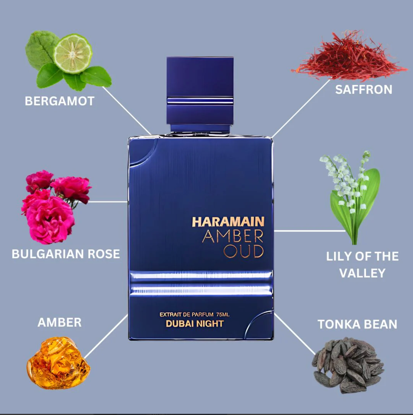 Amber Oud Dubai Night Extrait De Parfum Spray 75ML (2.5 OZ) by Al Haramain | A Fusion of Spice, Florals & Warm Woods