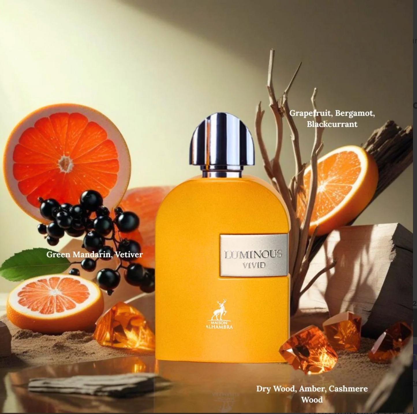 Luminous Vivid Eau de Parfum Spray 100ml (3.4 oz) by Maison Alhambra | Zest. Wood. Depth.